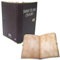 Doctor Who 500 Year Old Diario