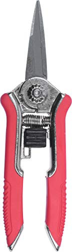 Connex Mini-Trimmerschere / Blumenschere / Floristikschere / Rosenschere / Gartenschere / FLOR70368
