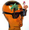 Pink Flamingo / Palm Tree Glasses Specs for Hawaiian Tropical Animal Fancy Dress Glasses