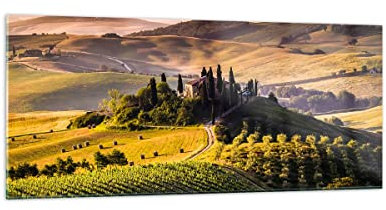 Wandbilder Dekoration Wohnzimmer Landwirtschaft Bauernhof Toskana Weinberg Panorama Bilder auf Glas 120x50cm Glasbild Schlafzimmer Küche Wand Kunstdruck Art Groß Wanddeko Modern GAB120x50-2465