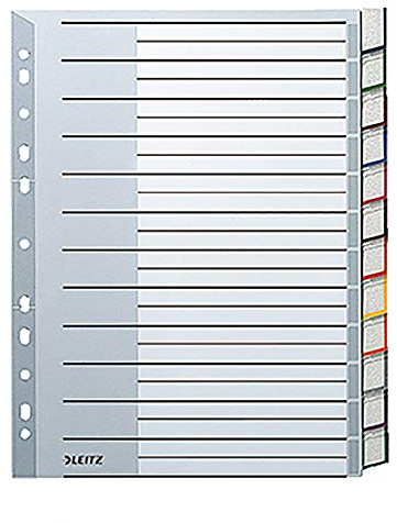 Leitz Register für A4, Deckblatt aus Karton und 12 Trennblätter aus Kunststoff, Taben mit auswechselbaren Einsteckschildchen, Grau, 12740000