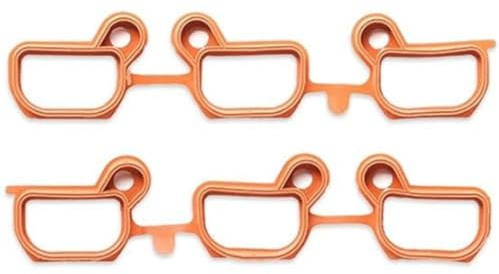 Reinz 11-33074-01 Dichtungssatz, Ansaugkrümmer, braun