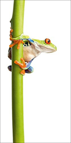 ARTland Wanddeko Glasbilder Wandbild Glas Bild einteilig 30 x 60 cm Hochformat Natur Tiere Amphibien Frosch Laubfrosch Bunt T5WY