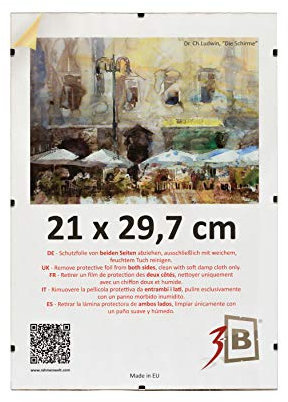 3-B Set di 10 pezzi cornici a Giorno CLIP 21x29,7 cm (A4) - Portafoto senza cornice con vetro stirene