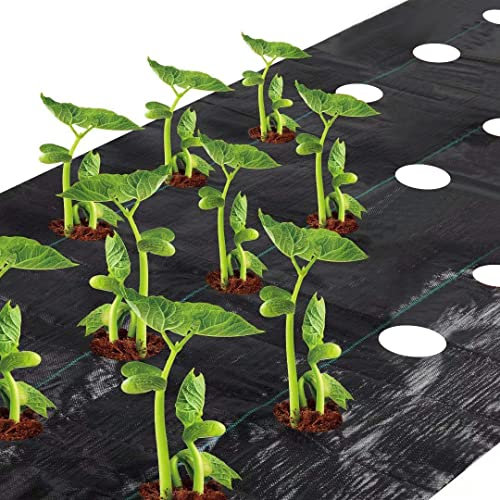 agfabric easy-plant Weed Block Mulch Weed Barrier Stoff mit Bepflanzen Loch, Garten Matte, 2.9oz, 3 'X12' Loch Dia 7,6 cm