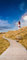 wandmotiv24 Türtapete Leuchtturm mit Holzweg TT233 90x200cm Tapete Meer Strand Weg