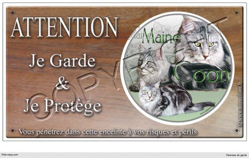 Pets-Easy.com Panneau Chat ou Plaque Main-Coon 30 cm