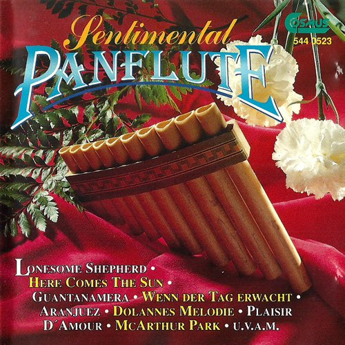 16 Panflöten Arrangements von internationalen Superhits - ideal als Filmvertonung / Entspannungsmusik / für lange Autofahrten etc.