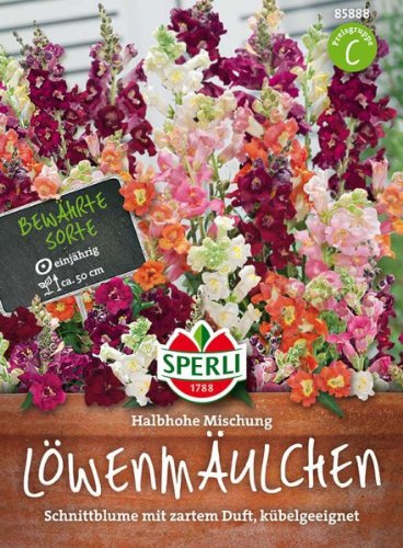 Sperli Löwenmäulchen Halbhohe Mischung