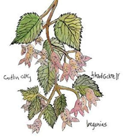 YEP ROC RECORDS Begonias