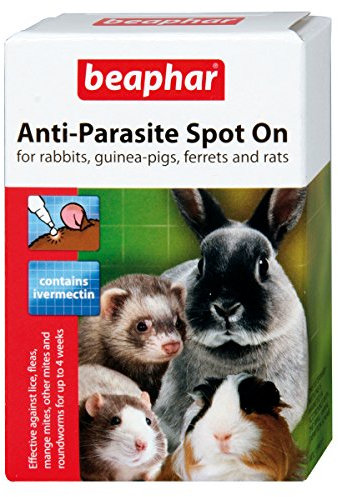 Beaphar Rabbit & Guinea Pig Anti-parasite Spot On 4 Tubes (Pack of 6)