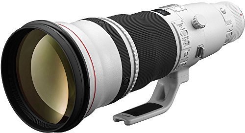 Canon EF 600mm f/4L IS II USM