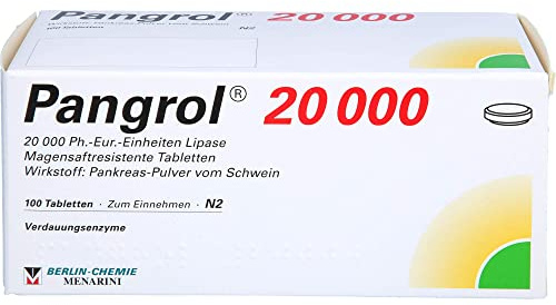 PANGROL 20.000 magensaftresistente Tabletten 100 St