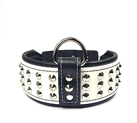 Bestia Star Hundehalsband mit Nieten und Innenpolsterung 6,5 cm breit