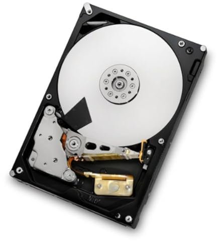 HGST, a Western Digital Company Hitachi Ultrastar 0B26312 HUS723020ALS640 Disque Dur Interne 7K3000 2 to