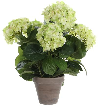 Mica decorations 947273 Blumen, Hydrangea, beige