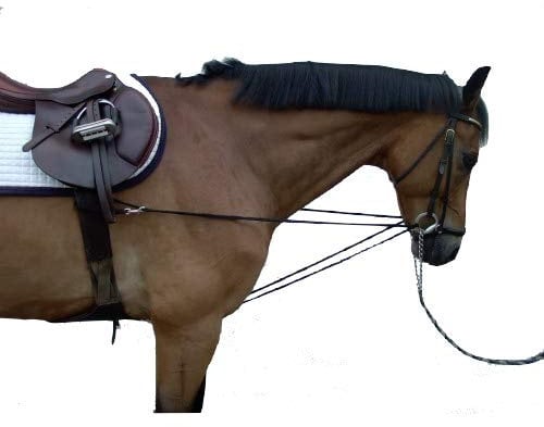 pfote-und-huf Dreieckszügel Wiener Zügel Laufferzügel Vollblut/Warmblut