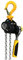 Rotek Hebelratschenzug 500kg Kapazität, 1,5m Kettenlänge, LH-B-0500-1.5