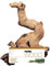 Marina Aquarium Mopani Driftwood Ornamental Root Décor, Small