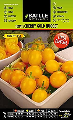 Semillas Batlle Línea Especial Tomatensamen Tomate Golden Nugget, gelb