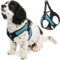 Gooby Escape Free Easy Fit Hundegeschirr, kleines Hundegeschirr, Geschirr zum Überziehen für Hunde, die gerne ihrem Geschirr entfliehen, Türkis, Größe M