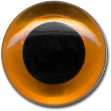 Lot de 4 yeux d'animaux en verre ambré 6 mm