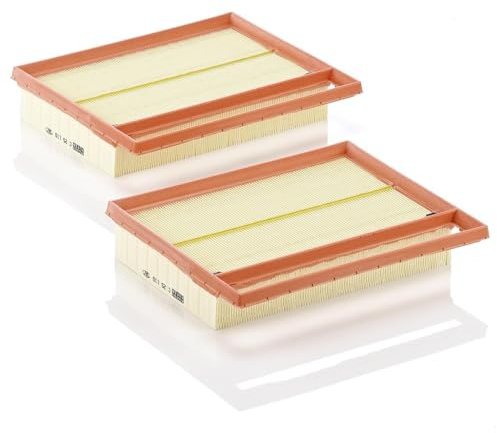 MANN-FILTER C 25 110-2 Luftfilter (2er Set) - für Pkw + Transporter | Für PKW, Saubere Luftzufuhr, Langlebiges Filtermedium, Passgenaues Design, Echte OE-Technologie