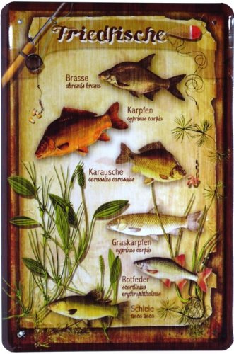 WOGEKA ART Retro Blechschild - Heimische Süßwasser Friedfische Übersicht - witziger Spruch als Geschenk-Idee zum Geburtstag Weihnachten Deko 20x30 cm Vintage-Design Metall 404