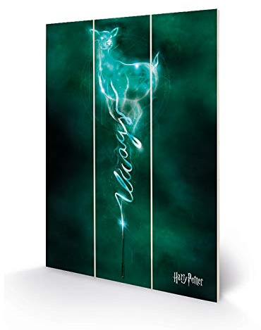Harry Potter - Impression sur Bois 20 x 29, 5cm (Patronus)