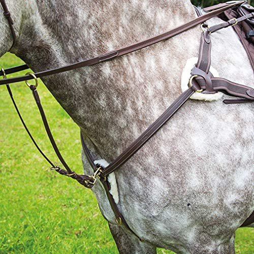 Shires Salisbury 5 Point Breastplate-Australian Nut/Brass Cob