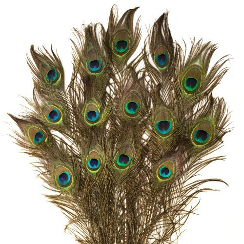 ROSEMARIE SCHULZ Heidelberg 15 natürliche Pfauenfedern 80cm lang - zum Basteln, Schmücken und zur Dekoration HD