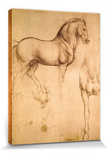 1art1 Leonardo Da Vinci Poster Pferdestudie, 1493-1494 Bilder Leinwand-Bild Auf Keilrahmen | XXL-Wandbild Poster Kunstdruck Als Leinwandbild 40x30 cm
