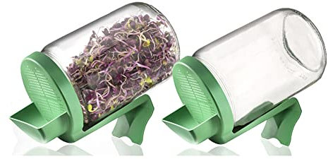 Germline – Sprosser aus Glas – Lot de 2 germoirs Glas germ' Line