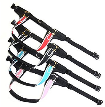 TRE Ponti Geschirr Forza mit Reflektierenden Rand Schwarz 65-80 cm bis ca. 20-30 kg