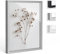 Bildershop-24 Objektrahmen FrameBox VARIO36 Mattsilber 60x80cm zum Einrahmen von Trikots, Blumen, Passepartouts etc.