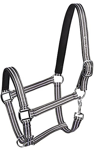 PFIFF 101517 Kunststoffhalfter, Weidehalfter Stallhalfter, Grau-Lila-Schwarz, Pony