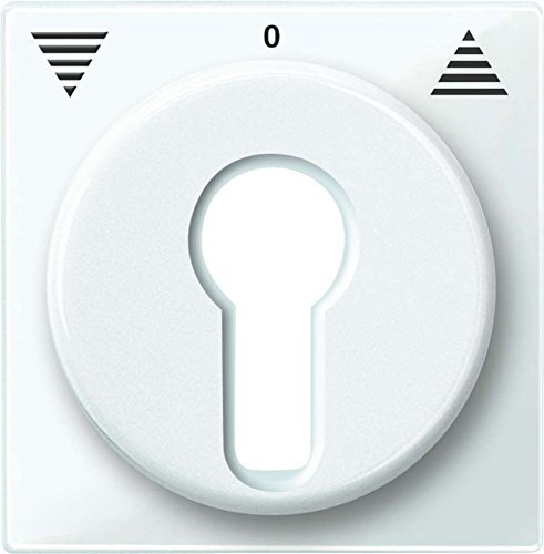 Merten 319419 Zentralpl. f. Rollladen-Tast-Rastschalter-Einsätze, polarweiß glänzend, System M