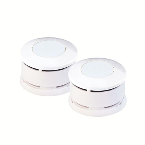 Lot de 2 detecteurs de fumee nf 5 Ans