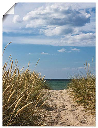 ARTLAND Wanddeko Poster & Kunstdrucke Wandposter 60x80 cm Strand Meer Küste Düne Gräser Himmel Maritim Wolken Ostsee S7VQ
