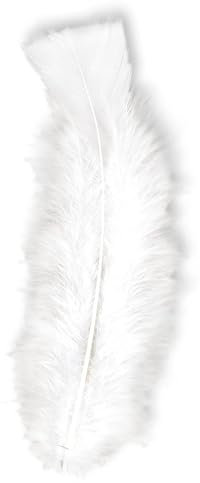 W WIDMANN MILANO Party Fashion - 50 Federn, Länge ca. 10 cm, Accessoire Indianer, zum Basteln