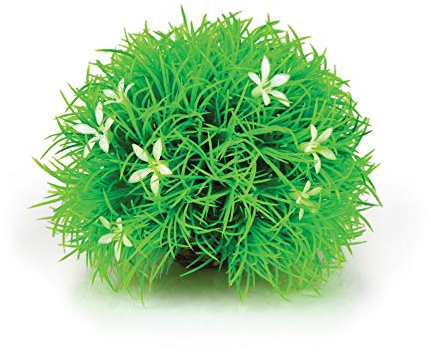 biOrb Boule végétale à pâquerettes