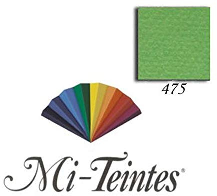 Canson Mi-Teintes Künstlerpapier, 160 g/qm, grün, 50 x 65 cm