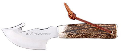 ELECTROPOLIS Cuchillo de Caza Muela Raccoon RACCOON-8A, desollador, puño de asta de Ciervo, virola de Acero Inoxidable, Hoja de 8 cm + Tarjeta Multiusos de Regalo