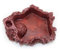 OMEM Gamelle naturelle pour reptile - En résine - Rouge - Taille S