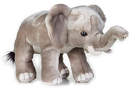 National Géographic - 770717 - Eléphant