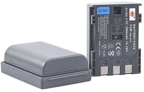 DSTE® 2X NB-2LH NB-2L Akku für Canon EOS 350D 400D PowerShot G7 G9 S30 S40 S45 S50 S60 S70 S80 ZR100 ZR200 ZR300 ZR400 ZR500 ZR600 ZR700 ZR800 ZR830 ZR850 ZR900 ZR930 ZR950 ZR960 Kamera