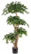 Ficus Kunstbaum mit 5 Stämmen in Natur und Blattkronen Höhe 160cm - Künstlicher Ficusbaum mit Mehreren Stämmen und Kronen