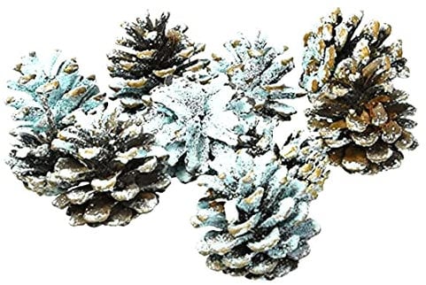 Lakeland Northern Lights Colour Fire Cones –Change Colour In Flames Suitable For Any Real-Flame Fire