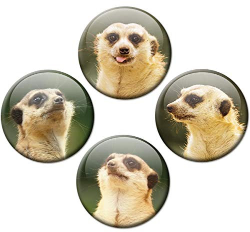 Kühlschrankmagnete Erdmännchen 4er Geschenk Set Magnete für Magnettafel Kinder lustig stark groß Ø 50 mm
