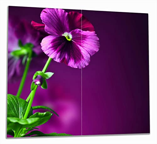 Wallario Herdabdeckplatte/Spritzschutz aus Glas, 2-teilig, 60x52cm, für Ceran- und Induktionsherde, Lila Stiefmütterchen